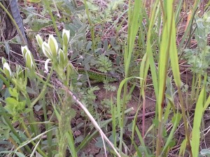20130508_195439